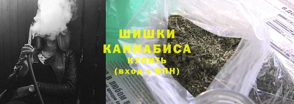 дмт Заводоуковск