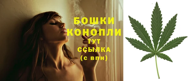 дмт Заводоуковск