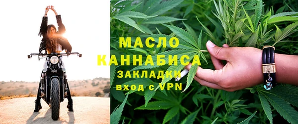 дмт Заводоуковск